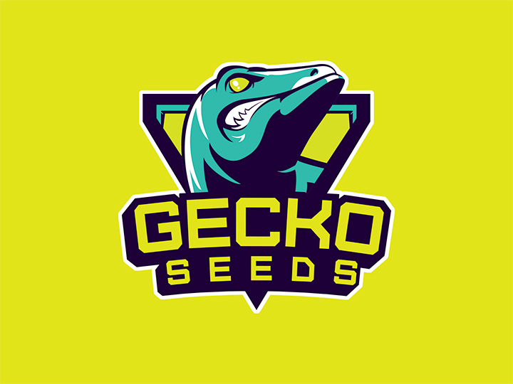 Diamond logo Gecko Seeds