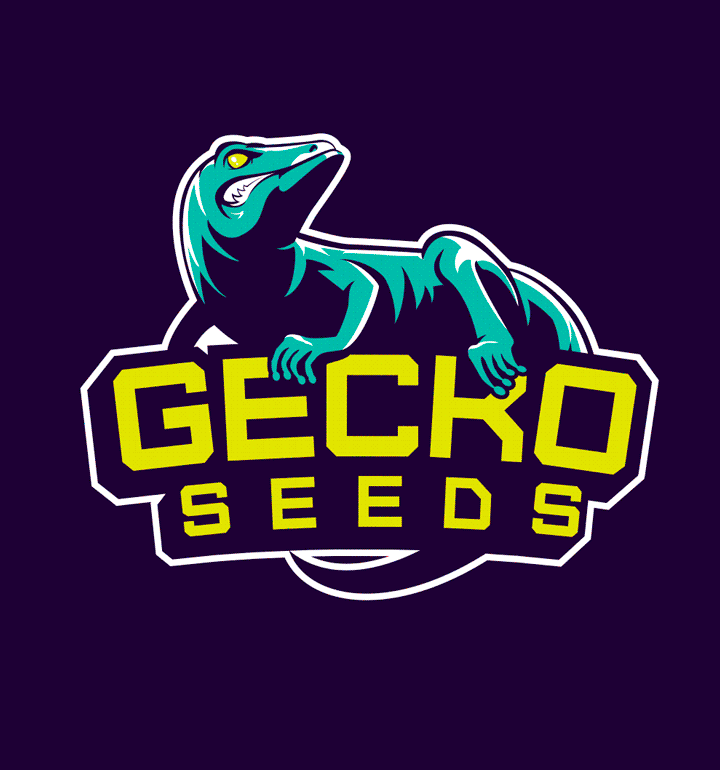 Gecko Seeds Brand Identity e packaging